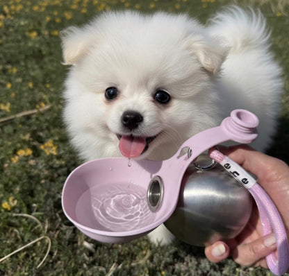 PawPal Dog Bowl With Cup